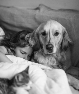 Gabrielle et Guinée chien d'éveil