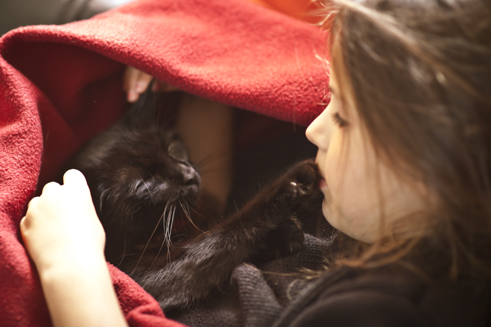 Animaux et handicap
