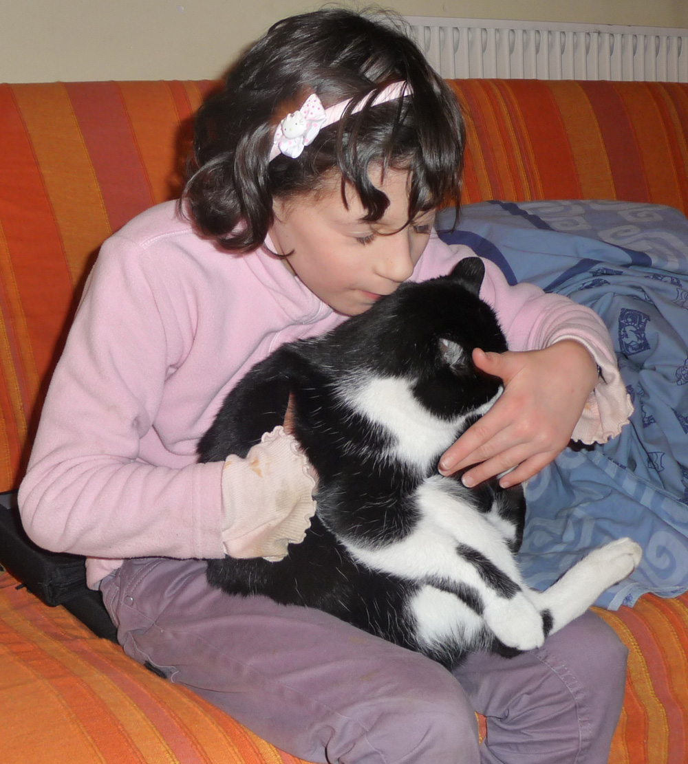 https://www.bloghoptoys.fr/wp-content/uploads/2012/08/lea-cloe_chat2.jpg