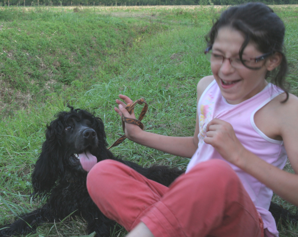 Animaux et handicap