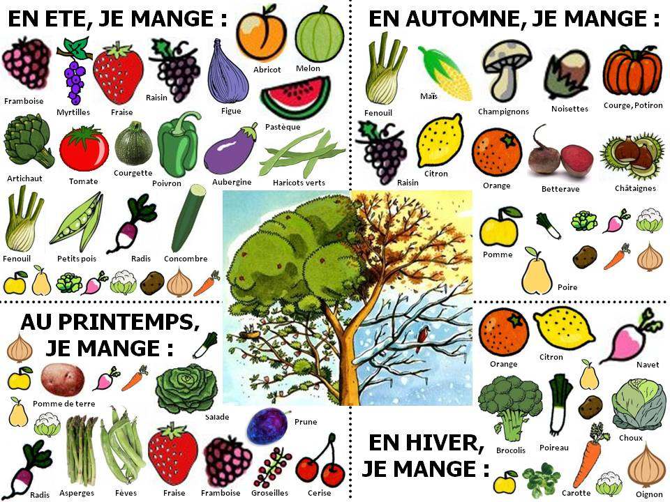 Les fruits et légumes de saison