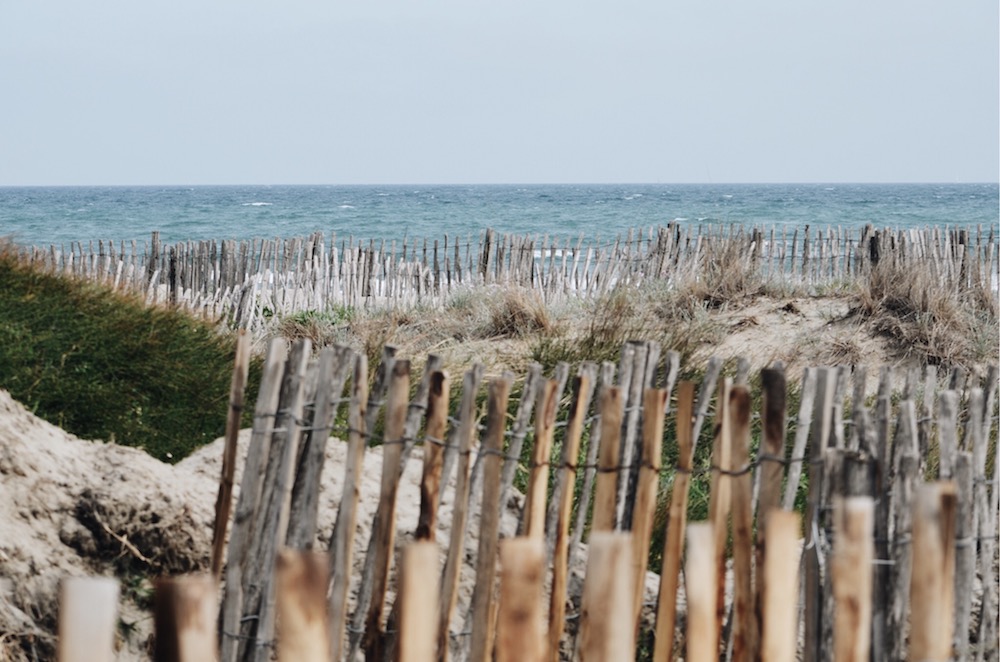 Une plage ensoleillée 