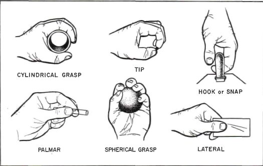 Les différents types de préhension