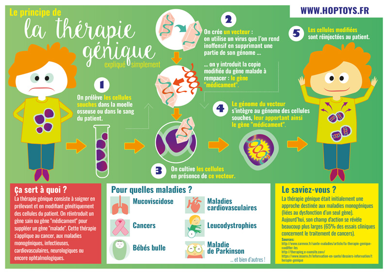 infographie Thérapie Génique