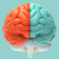 Les neurones miroirs