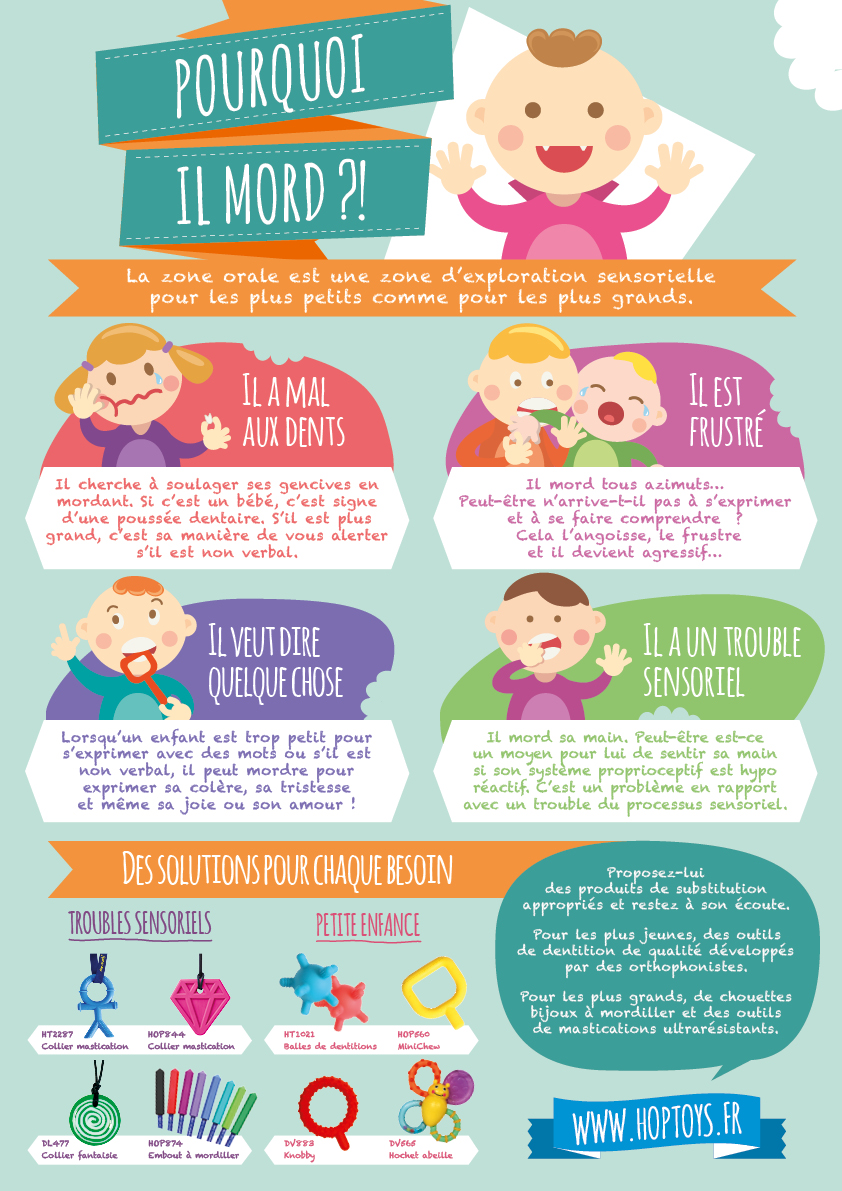 Infographie "Pourquoi il mord ?!"