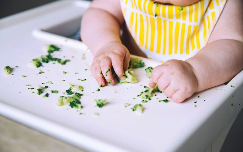 La DME, la diversification alimentaire menée par l'enfant 