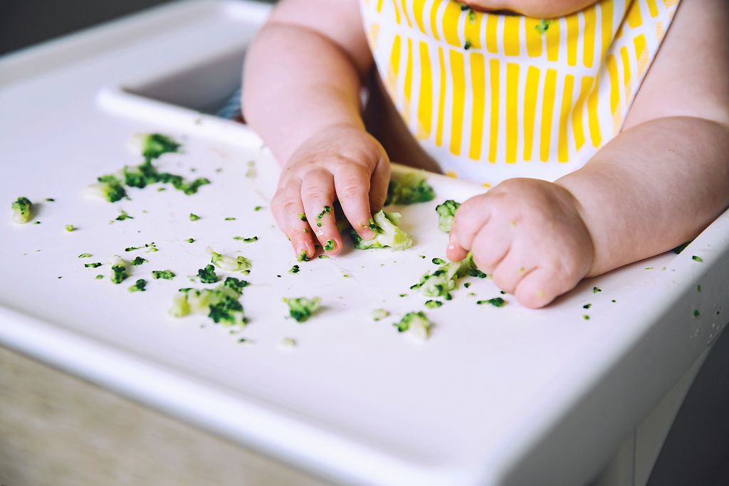 La DME, la diversification alimentaire menée par l'enfant 