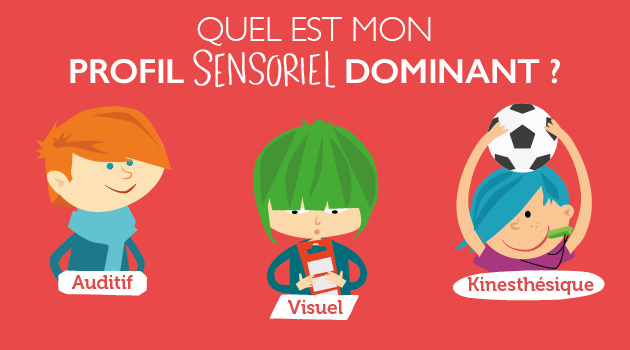 Infographie : Quel est mon profil sensoriel ? - Blog Hop'Toys