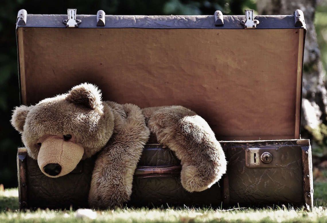 Un ours en peluche dans une valise