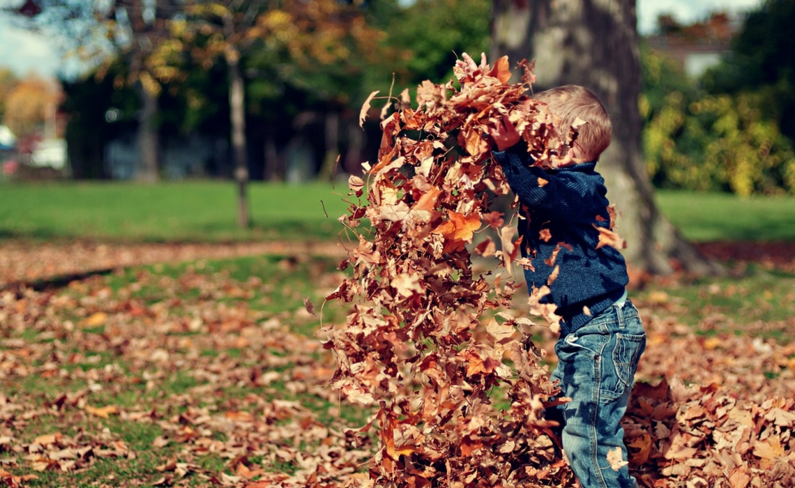 Un enfant joue avec des feuilles dehors