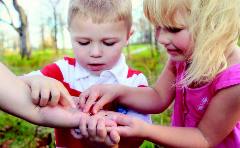 Des enfants découvrent la nature