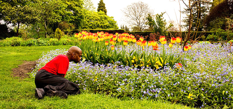 contemplacion de las flores en el jardin sensorial