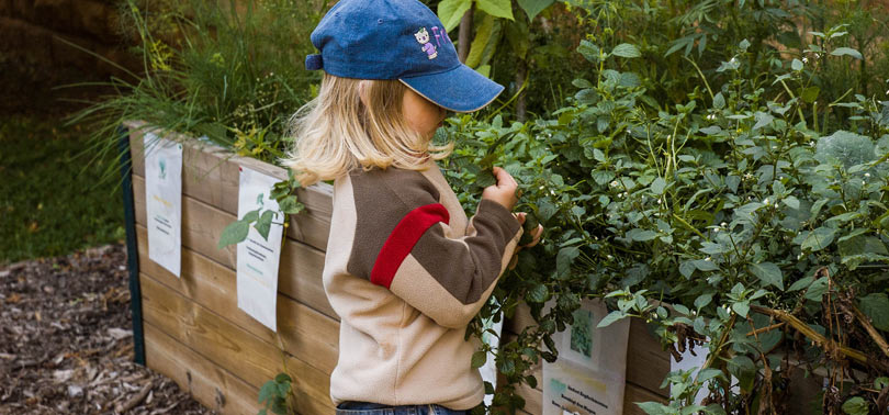 plantas a la altura de los niños