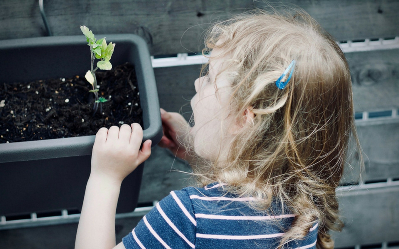 Une enfant apprend la science de la nature STIM