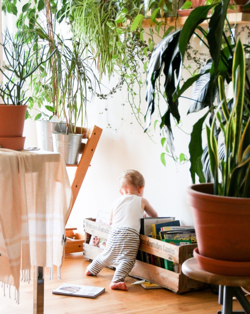 Bébé cherche un livre 