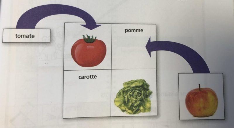 Un schéma illustrant l'association signifiant / signifié dans la lecture