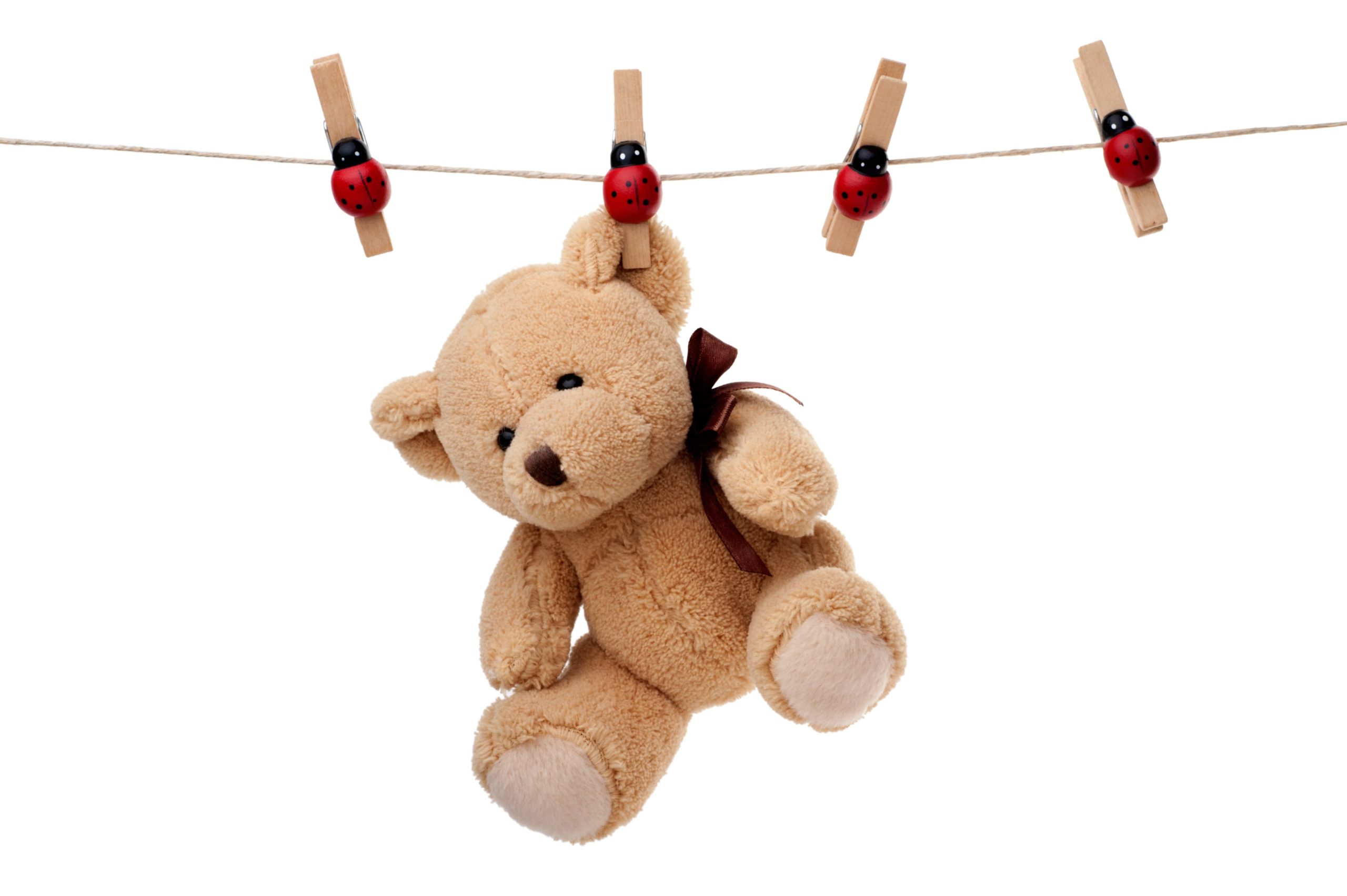 Lavez vos peluches pour les redistribuer en cadeau de Noël