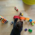 Un enfant joue avec un arc-en-ciel en bois