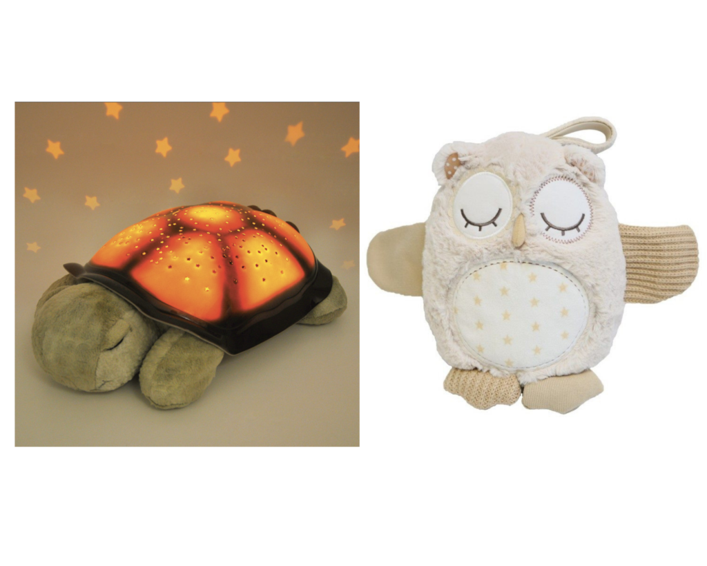 tortue et hibou