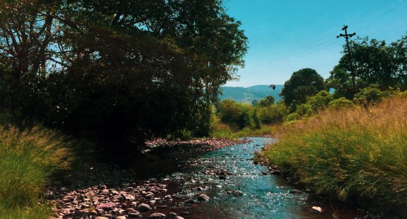 Un cours d'eau en pleine nature