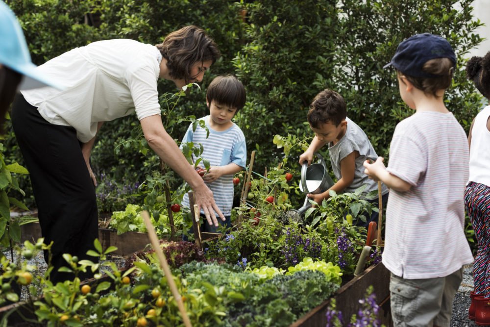 Des enfants entretiennent un potager dehors 