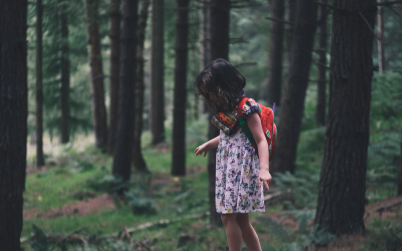 Une balade sensorielle en forêt