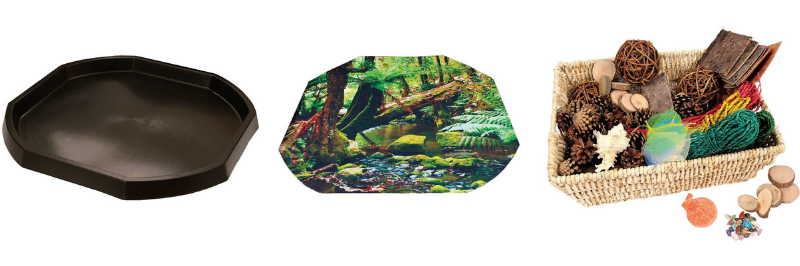 Bac d'exploration avec une thématique forêt
