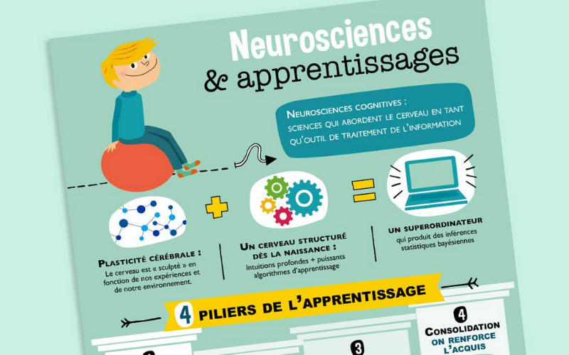 Infographie sur les neurosciences pour la salle de classe