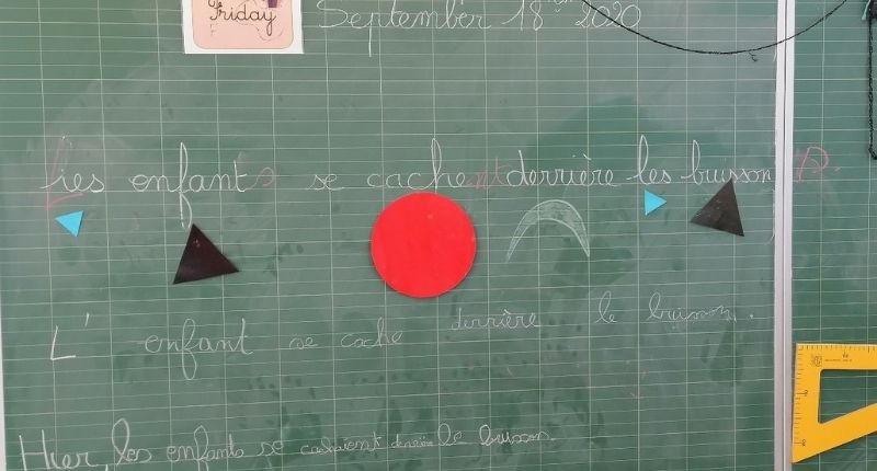 Analyse de phrases au tableau en utilisant les symboles de grammaire Montessori