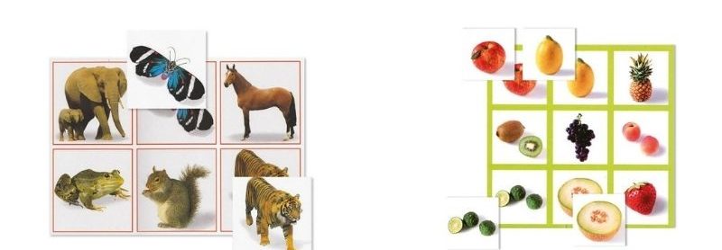 Loto des animaux et loto des fruits