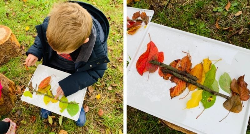 Dégradé de feuilles sur le plateau