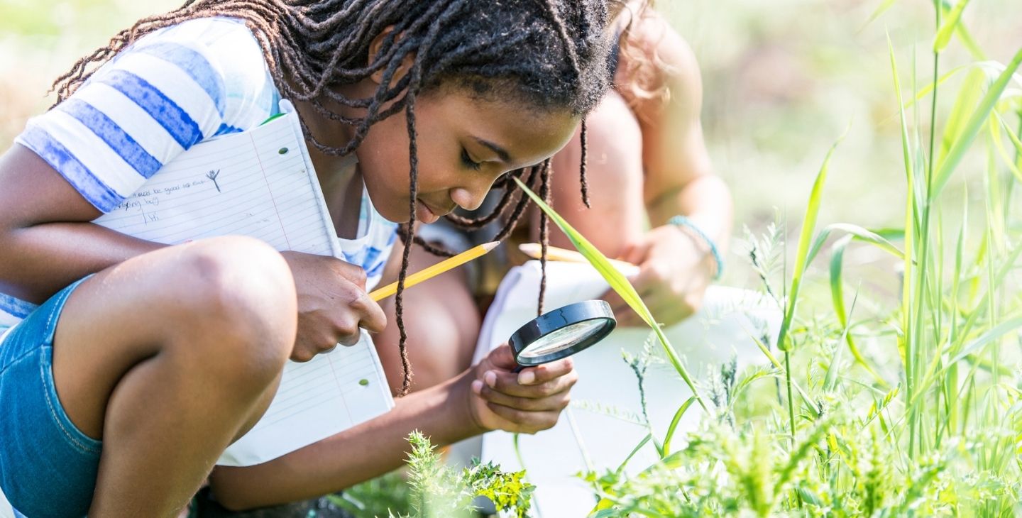 L'école en pleine nature : observer et explorer