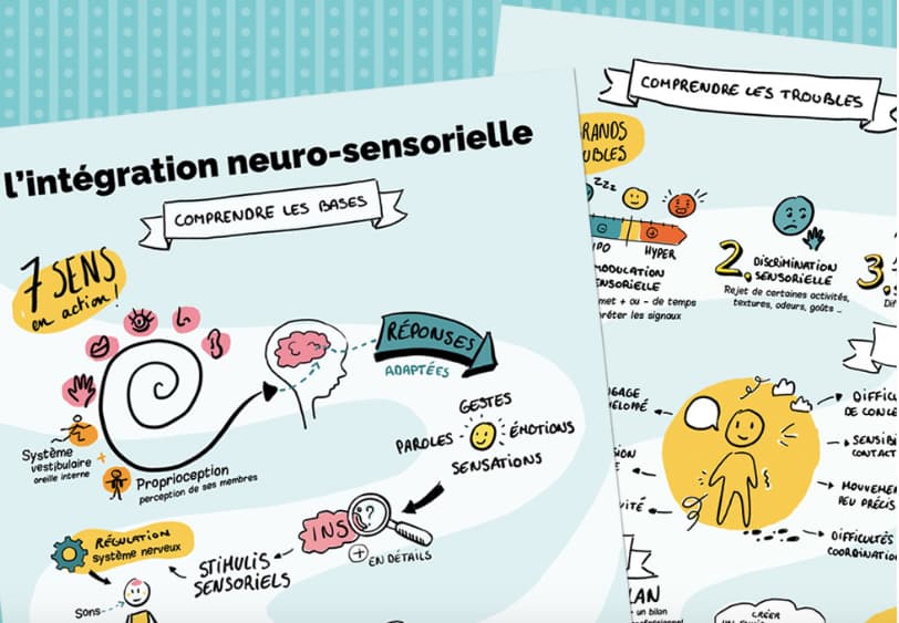 Infographie l'intégration neuro-sensorielle