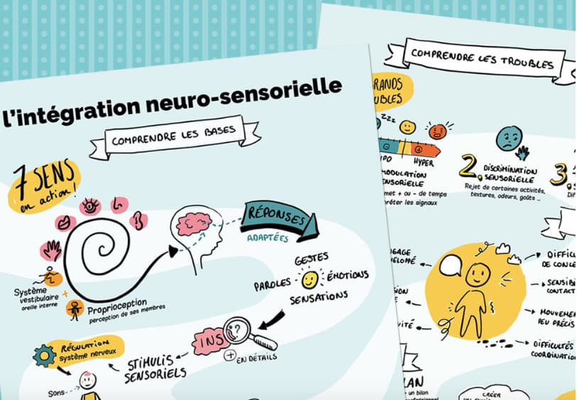 Infographie l'intégration neurosensorielle