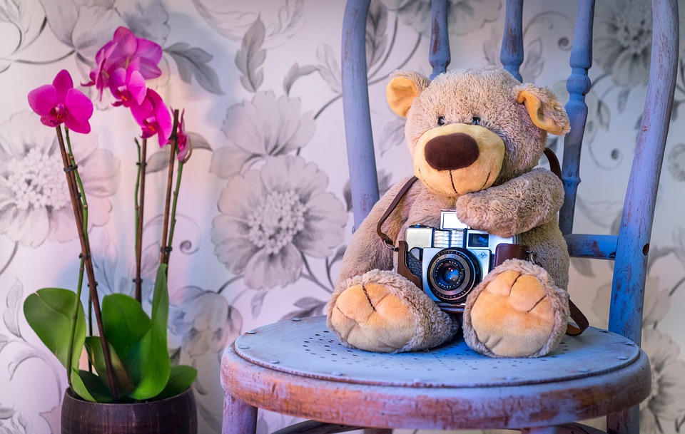 Un ours en peluche tenant un appareil photo