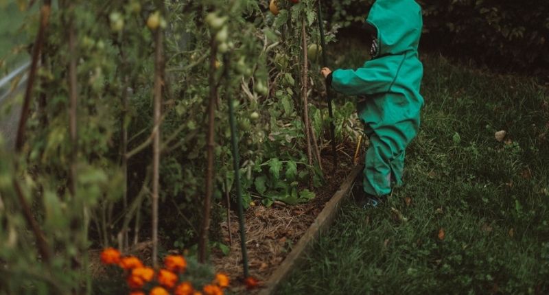 Crèche Wild Child : l'apprentissage par la nature