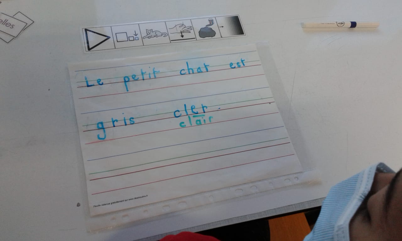 Faire des phrases à l'aide de pictogrammes. Exemple : Le petit chat est gris clair.