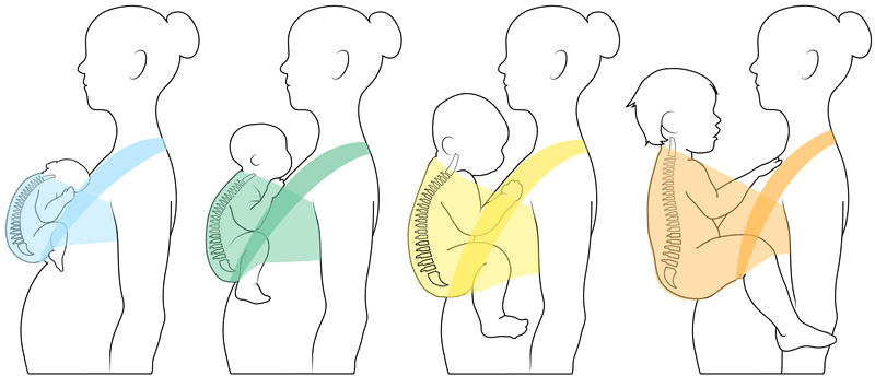 Les positions du portage physiologique pour développer l'équilibre