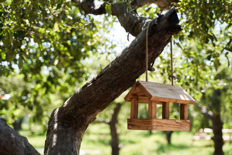 Caja nido para pájaros