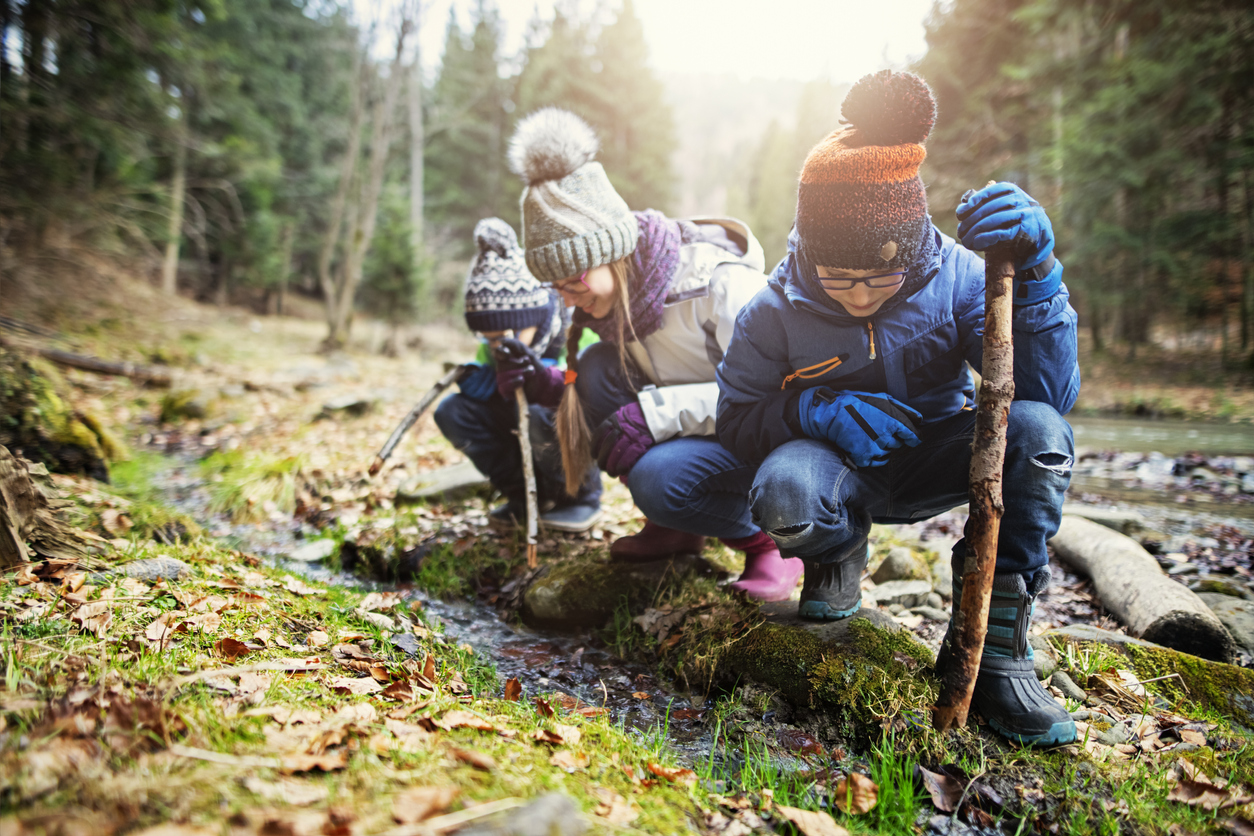 Faire école dehors : forest school