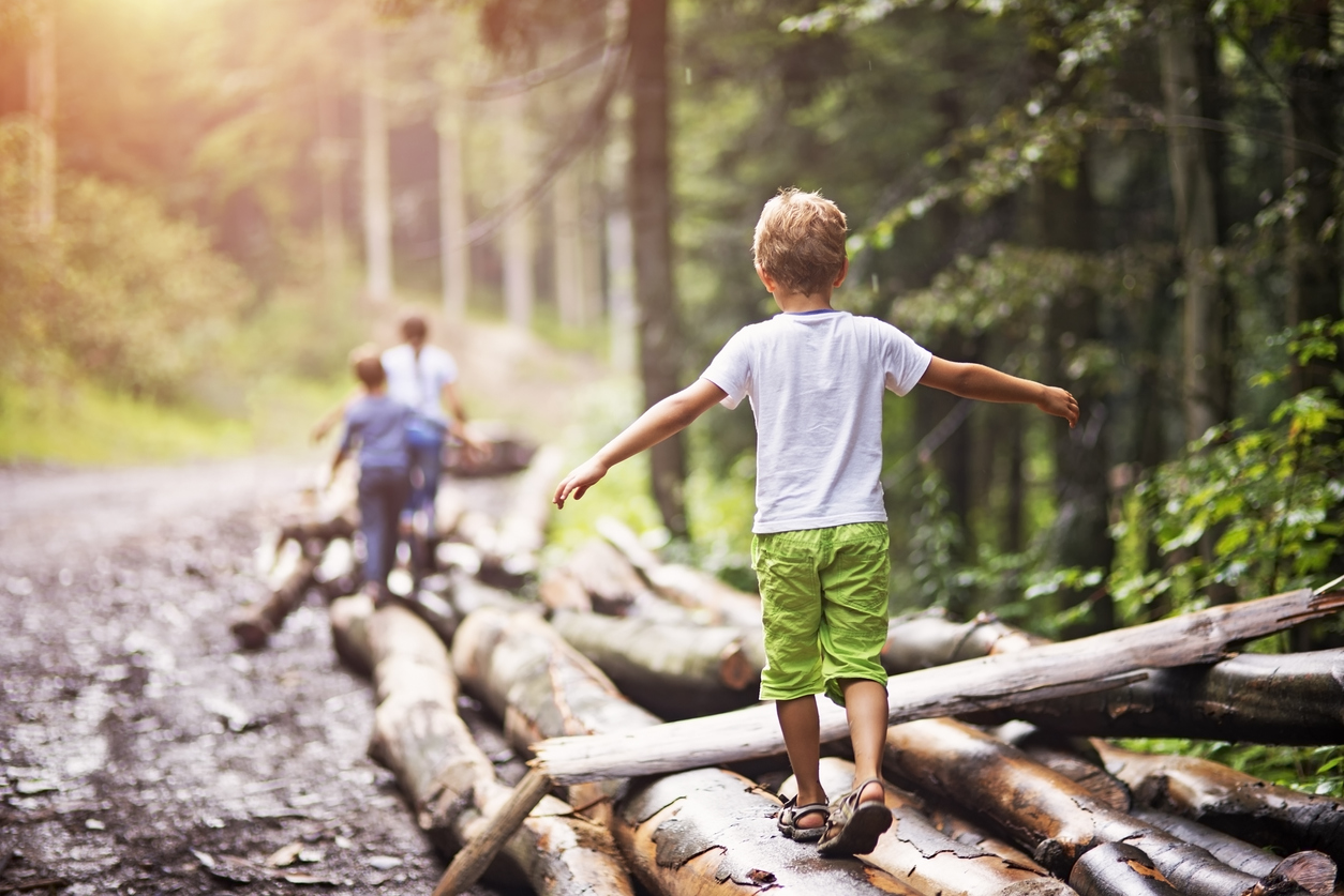 Faire classe dehors : l'école dans la forêt