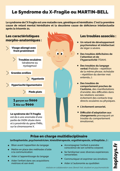 Fragile X Syndrome Diagram