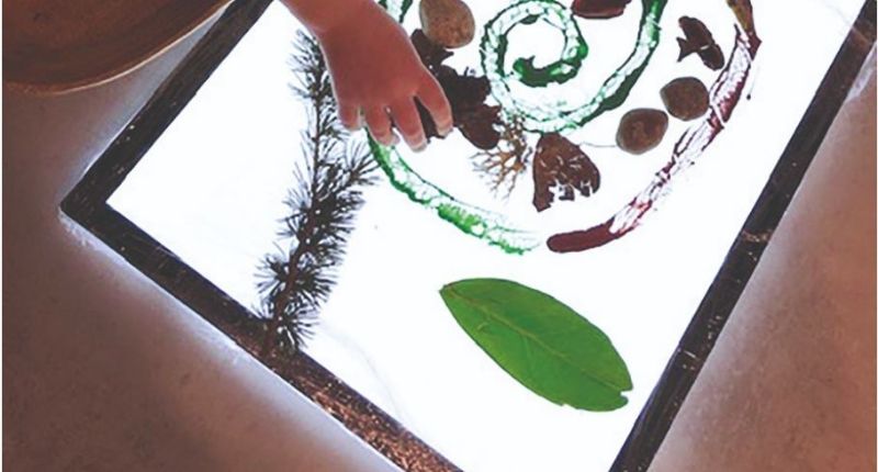 Création d'un tableau de la nature avec la table lumineuse