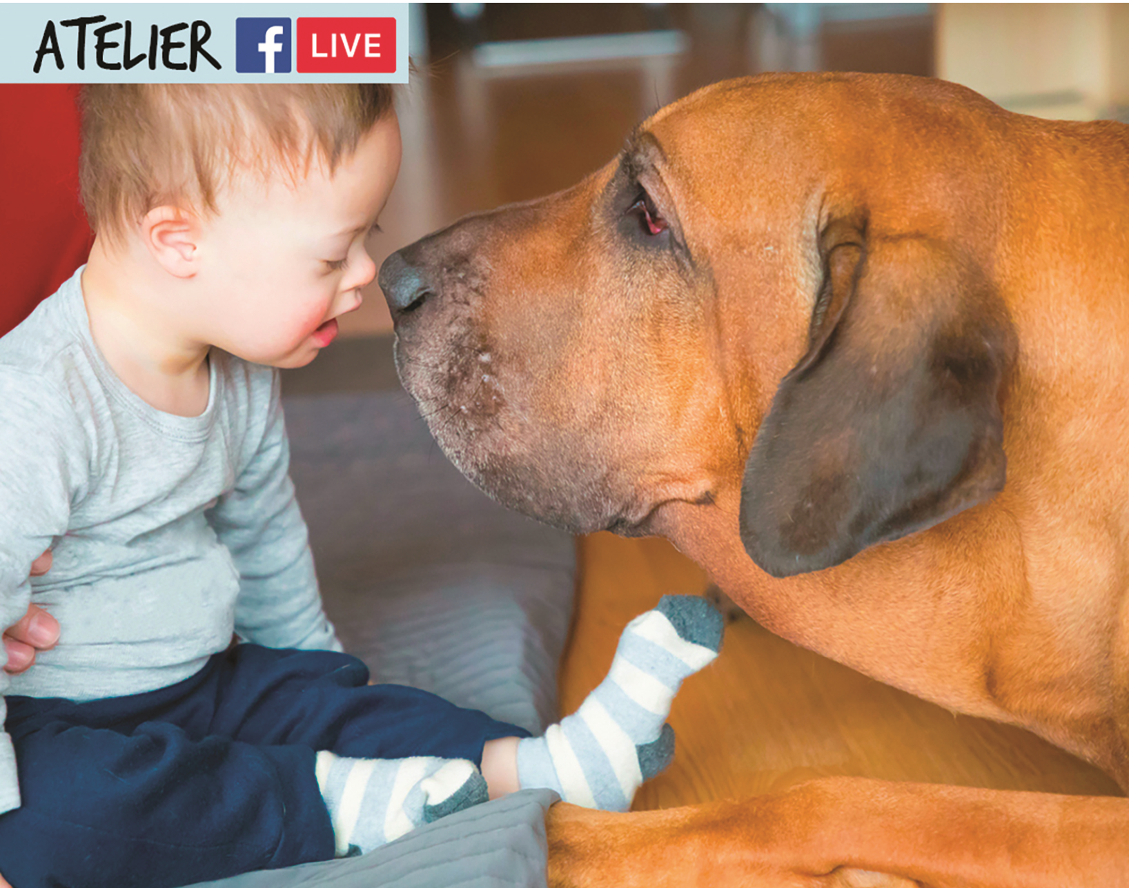 enfant et chien complices