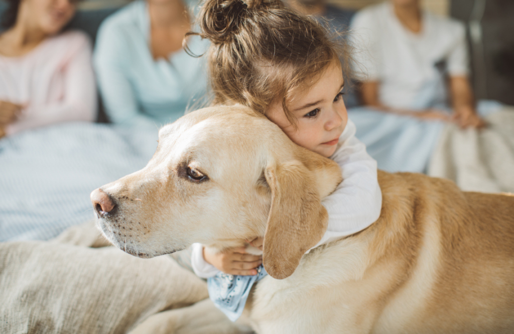 Un enfant enlace un chien