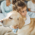 Un enfant enlace un chien