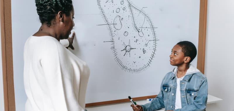 L'enseignement parallèle co-teaching