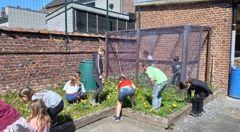 apprentissage actif dehors