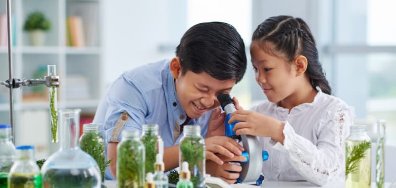 Deux enfants regardent dans un microscope